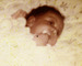 Abiona at 3 wks - photo only