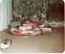 marfie the cat with christmas tree at king of prussia 1975