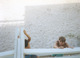 1988 scotty and van hanging from deck at florida hutchinson island beach house