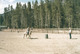 ray_img339