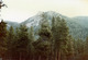 ray_img285