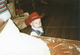 ray_img301