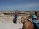 Ray In Front of Old Jerusal